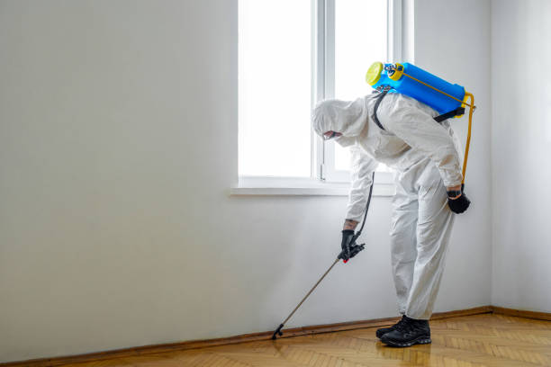 Reliable Carmel, IN Pest Control Solutions